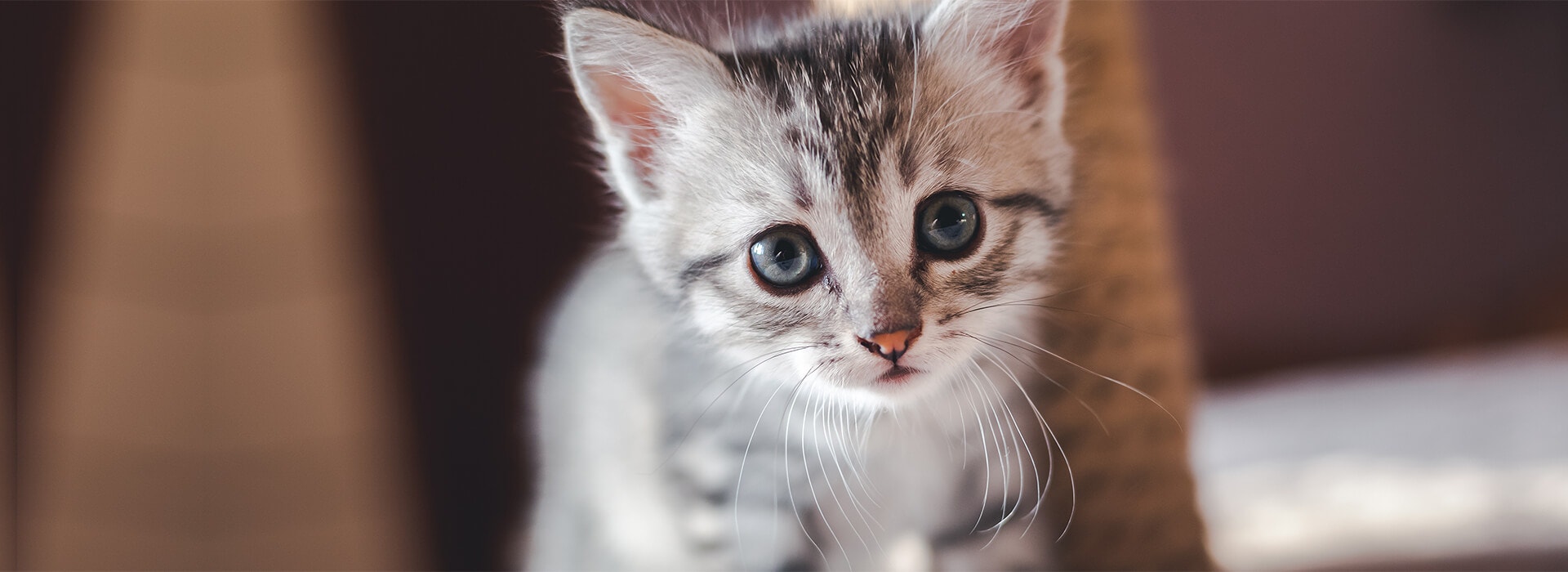 Zdrowie i pielęgnacja