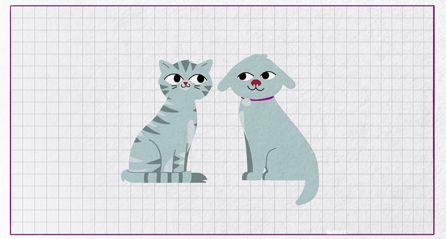 Wszystko o żywieniu kotów