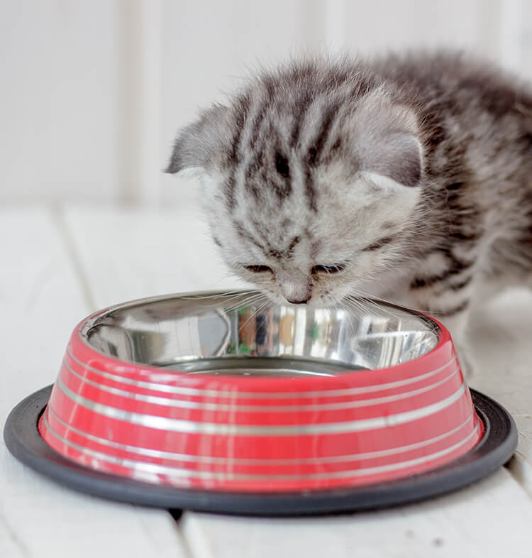 Zdrowie i pielęgnacja