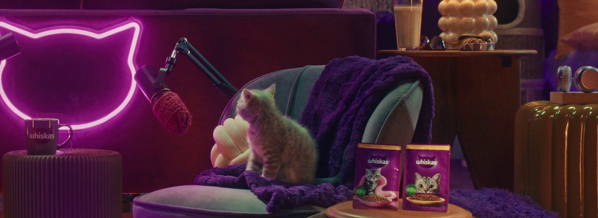 Woda dla kota - czy kot może pić wodę? Jaki rodzaj podawać naszemu mruczkowi?