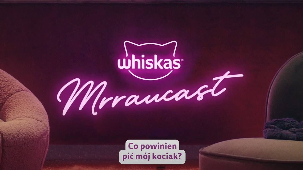 Woda dla kota - czy kot może pić wodę? Jaki rodzaj podawać naszemu mruczkowi?